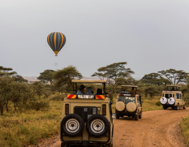 Safari Jeeps doing game drive on serengeti
