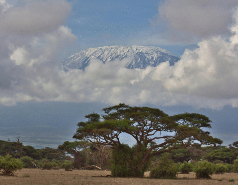Kilimanjaro Mountain